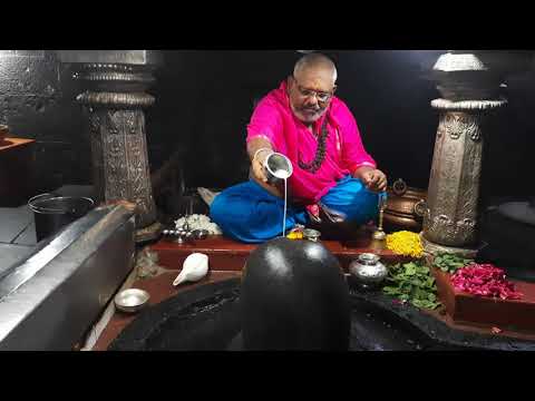नागेश्वर ज्योतिर्लिंग अभिषेक पूजा